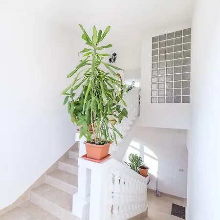 Apartment Bilac *